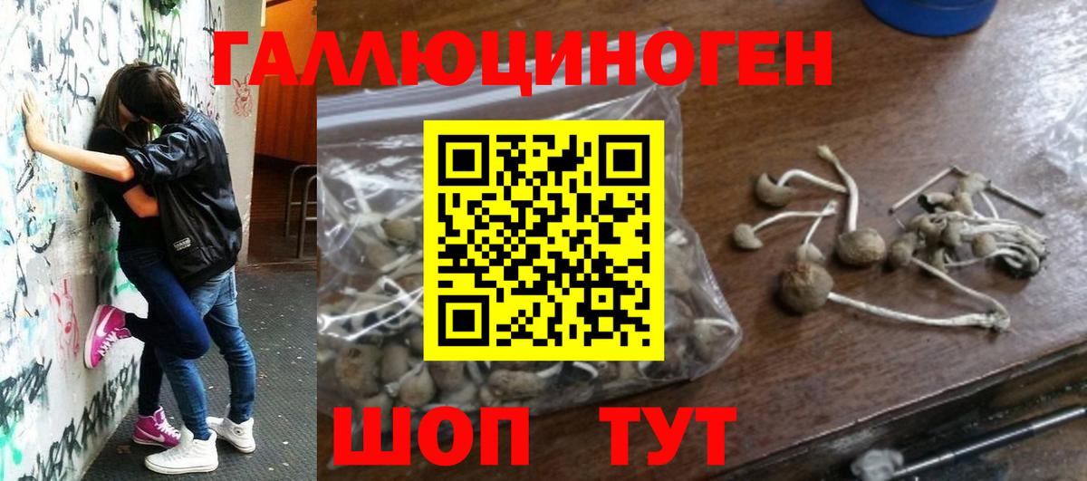 Псилоцибиновые грибы Psilocybe  купить наркоту  Белореченск  Вход с VPN 